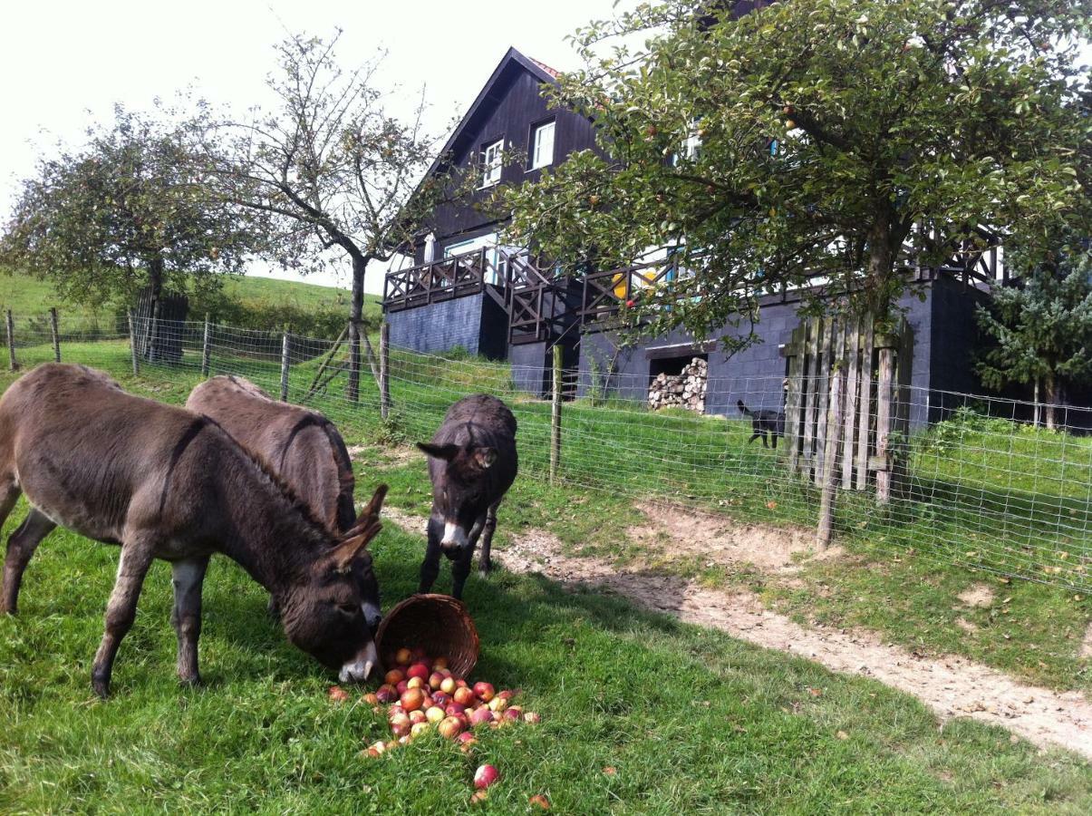 Hoeve Schoonzicht Wijlre Bagian luar foto