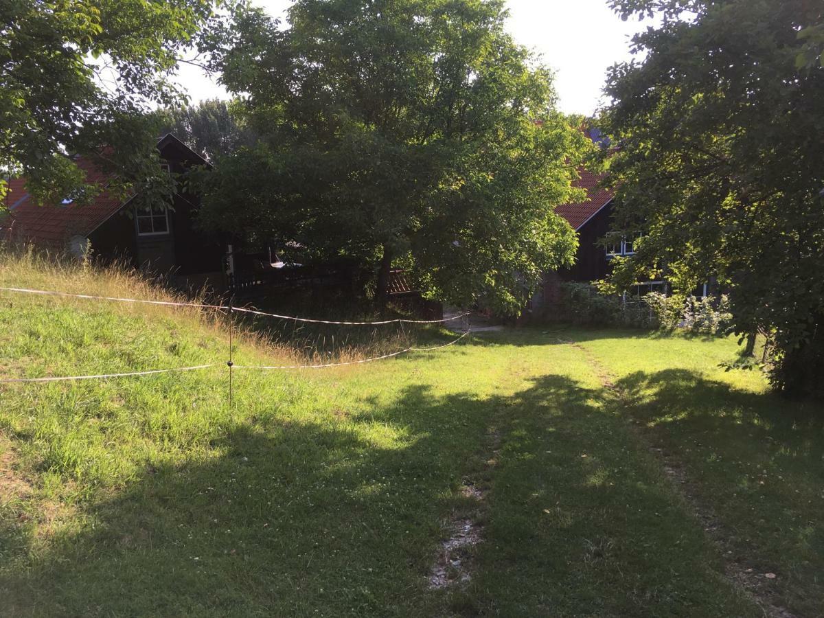 Hoeve Schoonzicht Wijlre Bagian luar foto